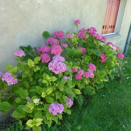 Maison Renovee Avec Cour Privee, Proche De Gannat, 3 Chambres, Animaux Acceptes, Equipements Modernes. - Fr-1-489-37 Poezat Kültér fotó