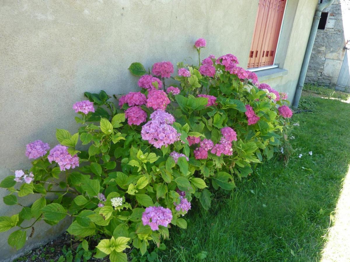 Maison Renovee Avec Cour Privee, Proche De Gannat, 3 Chambres, Animaux Acceptes, Equipements Modernes. - Fr-1-489-37 Poezat Kültér fotó